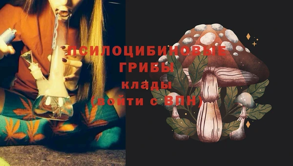 PSILOCYBIN Абаза